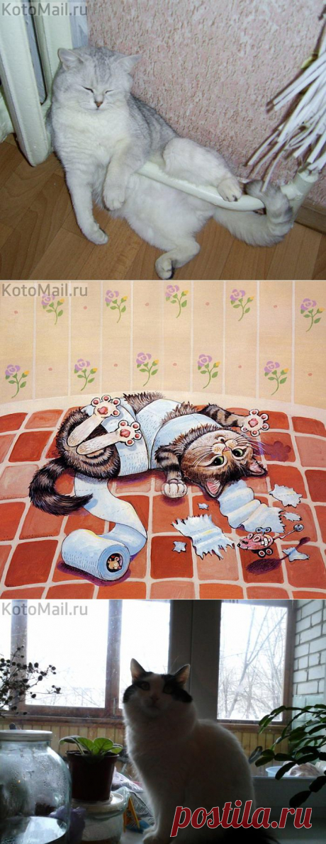 Грею животик! | KotoMail.ru