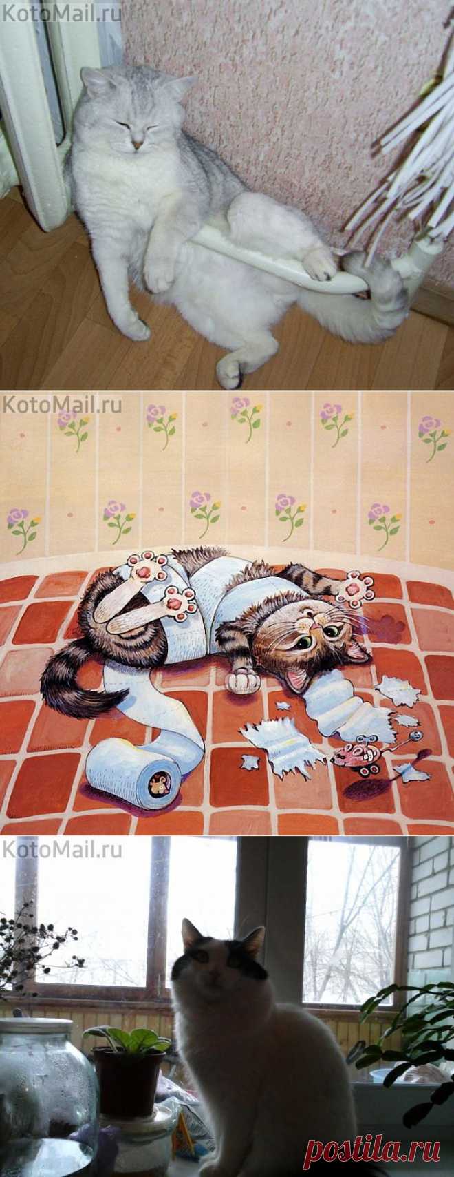 Грею животик! | KotoMail.ru