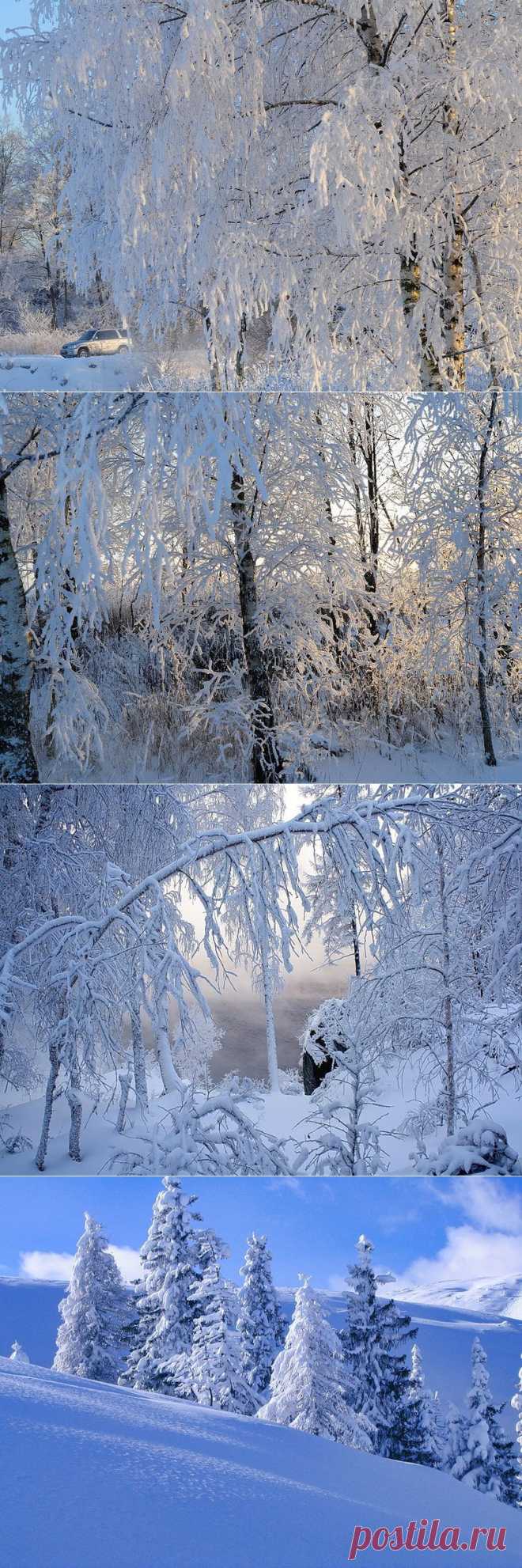 ХРУСТАЛЬ ЗИМЫ... ЧАРУЮЩЕ ПРОЗРАЧЕН..