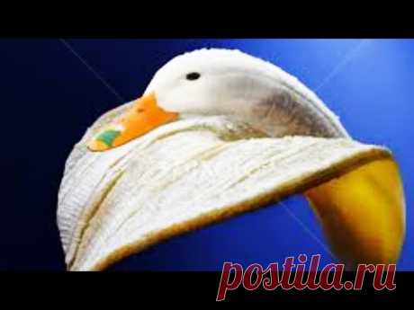 Kreasi buah Pisang dibentuk mirip Bebek