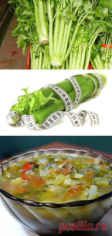 Ода сельдерею!!!.
