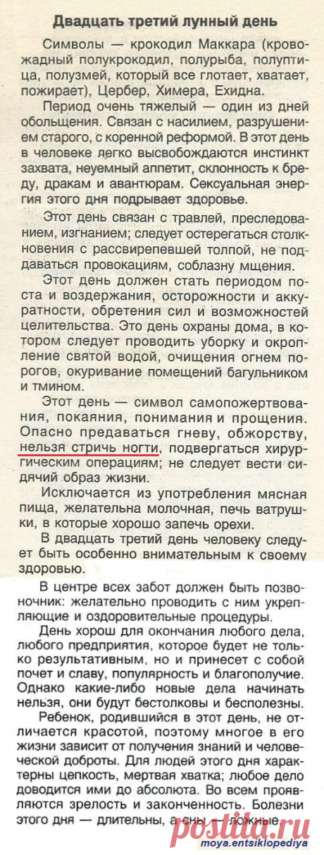 23 лунный день