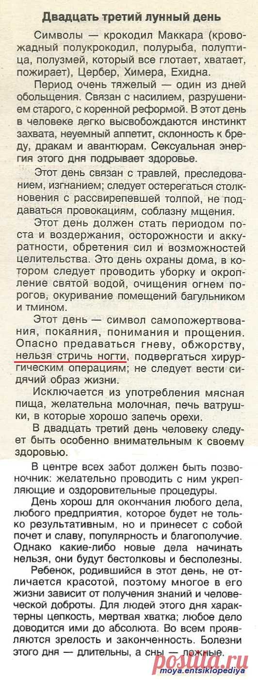 23 лунный день
