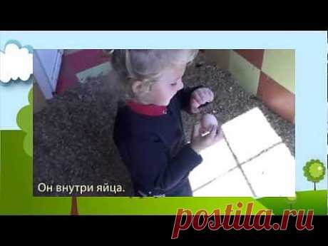 Раннее обучение детей иностранному языку |