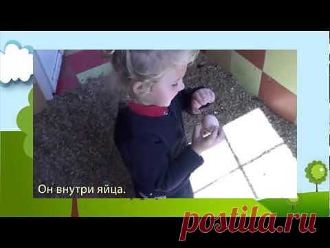 Раннее обучение детей иностранному языку |