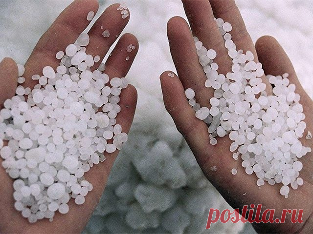Отложение солей – результат заболевания почек, мочевого пузыря, нарушения работы органов, ответственных за обмен веществ. Соли откладываются в суставах, позвоночнике, мышцах.