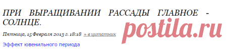 При выращивании рассады главное - солнце.