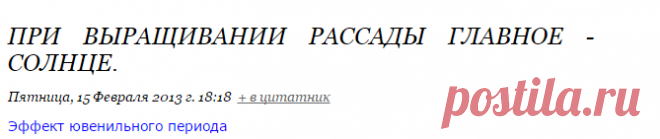 При выращивании рассады главное - солнце.