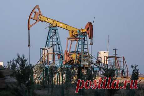 Стало известно о сокращении Россией добычи нефти. Россия сократит объем нефтедобычи на 500 тысяч баррелей в сутки в рамках соглашения с ОПЕК+. Саудовская Аравия при этом продлила взятое на себя добровольное сокращение нефтедобычи на 1 миллион баррелей в сутки. Прочие страны — участницы альянса также снизят объем нефтедобычи.