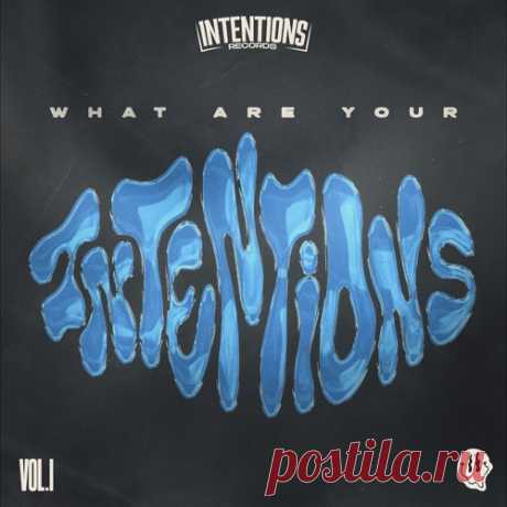 Download VA - What Are Your Intentions?, Vol. 1 Label Intentions Records Styles Tech House Date 2024-10-18 Catalog # IR027 Length 46:42 Tracks 8