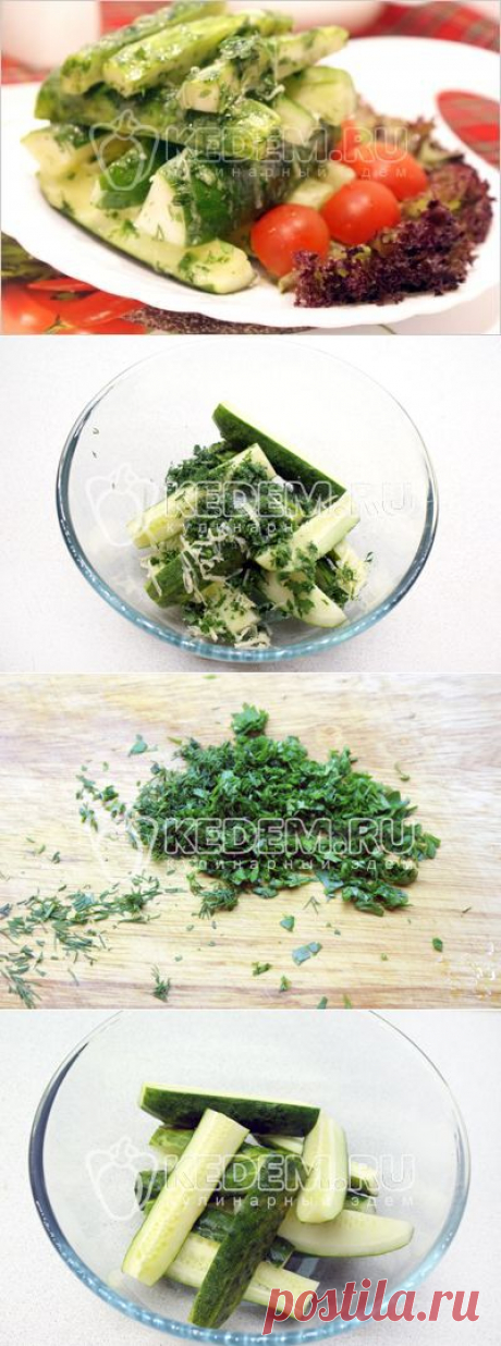 Закуска из огурцов - Закуски. Закуски из грибов и овощей