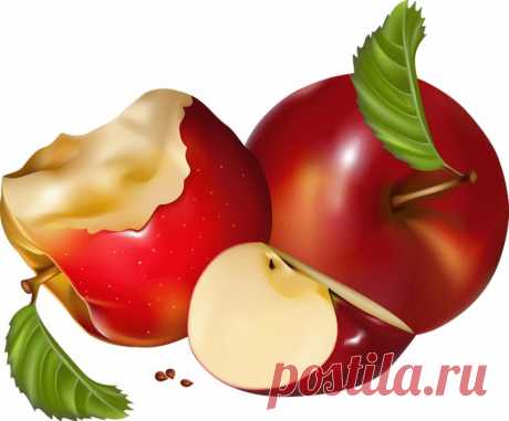 клипарт «дары природы
