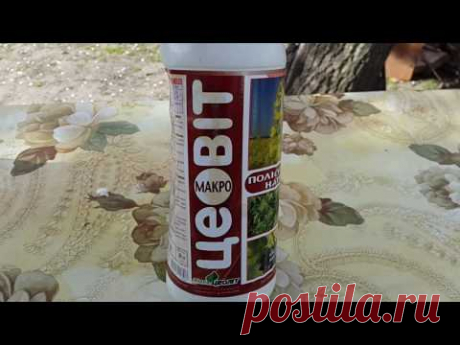 ВИНОГРАДиЯ. 03 мая 2017г. Удобрения с акарицидо-фунгицидными свойствами.