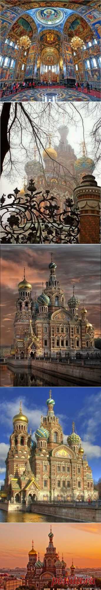 (16) Одноклассники