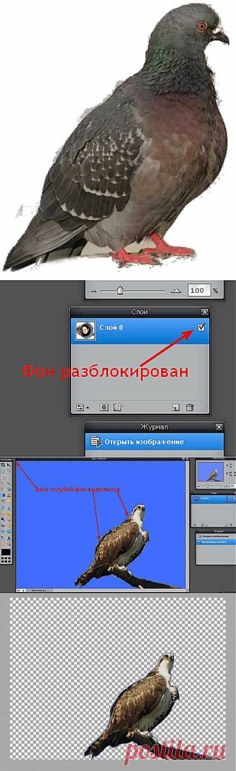 Уроки от Галины Щадриной.