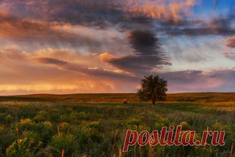 Около озера Сорбулак, Алматинская область. Атвор фото — Ольга Кулакова: nat-geo.ru/photo/user/292190/