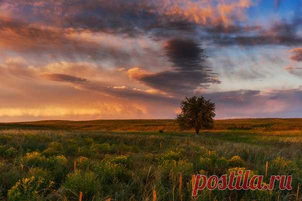 Около озера Сорбулак, Алматинская область. Атвор фото — Ольга Кулакова: nat-geo.ru/photo/user/292190/