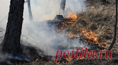 В Курганской области предупредили о чрезвычайной пожарной обстановке. Курганский ЦГМС сообщил, что в большинстве районов области в период с 11 по 13 июня прогнозируется высокая и чрезвычайная пожарная опасность — четвёртый и пятый классы горимости леса. Читать далее