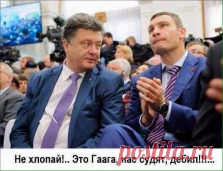 Шарий про Порошенко. Мюнхен и Я