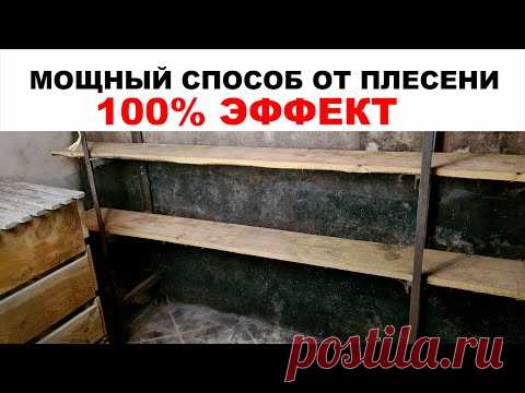 Как избавиться от плесени (грибка) с поверхности на стене и на деревянных стеллажах. ЭФФЕКТ 100%