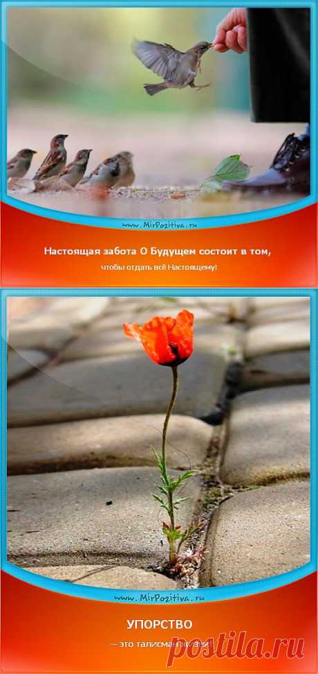 Мудрые советы