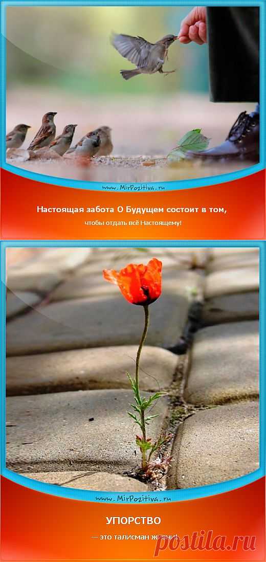 Мудрые советы