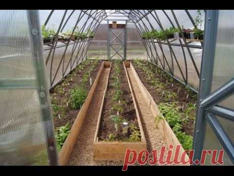 ВЫСАДКА РАССАДЫ ТОМАТОВ В ТЕПЛИЦУ ЧАСТЬ 1 - YouTube