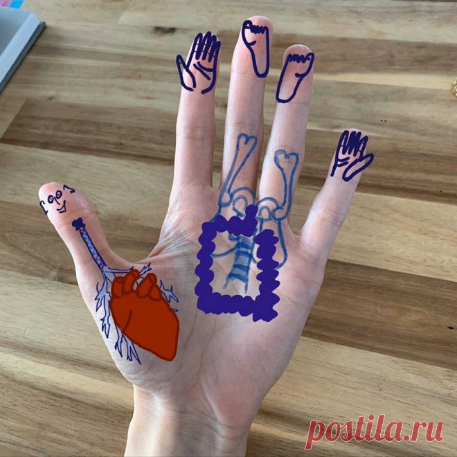 Массаж по методу Су-Джок | Фейсбилдинг/FaceBuilding Studio | Яндекс Дзен