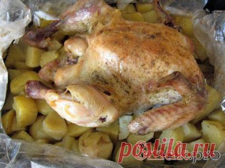 Курица запеченная в рукаве рецепт с фото