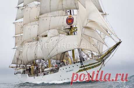 Альбом 19 «Галерея 19« Tall Ship расы