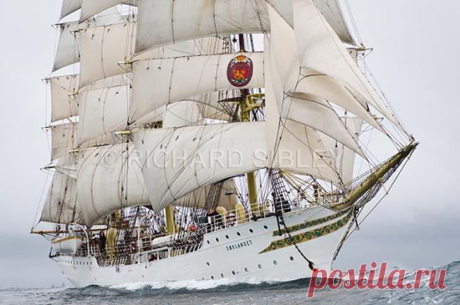 Альбом 19 «Галерея 19« Tall Ship расы