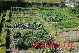 (71) Одноклассники