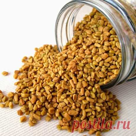 Пажитник, фенугрек, fenugreek Купить Киев Украина