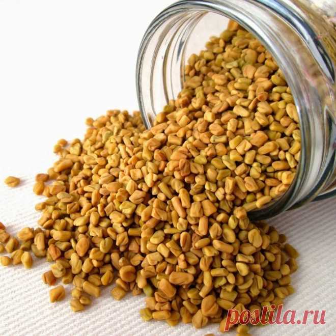 Пажитник, фенугрек, fenugreek Купить Киев Украина