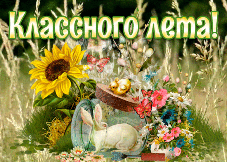 Картинка классного лета