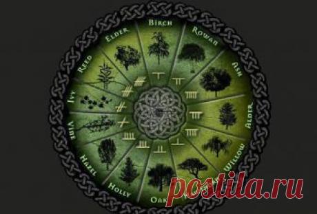 Кельтская астрология: знаки Зодиака и их значение Кельтская астрология развивалась на основе связи познаний друидов о природных циклах и их поклонению священным деревьям.