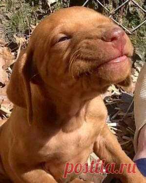 Smile Please ,,, 💕