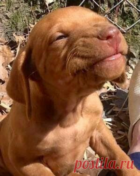 Smile Please ,,, 💕
