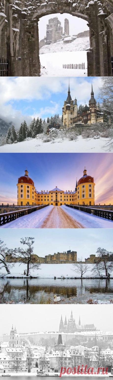 (+1) - Снежная красота зимних замков | Среда обитания