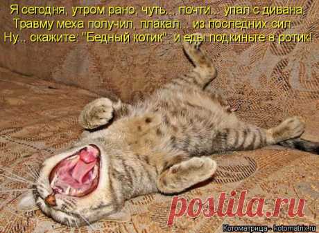 kotomatritsa_iJ.jpg (Изображение JPEG, 700 × 513 пикселов)