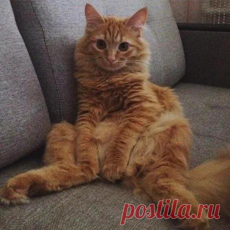 Денис Романов - Москва, Россия, 30 лет на Мой Мир@Mail.ru