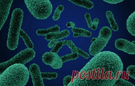 Ботулизм: опасно! Какие у него симптомы?
Заболевания бактериального характера сегодня очень распространены — с ними хоть раз в жизни, но сталкивался каждый живущий на земле. Некоторые из таких болезней даже сами проходят и никакого вреда организму человека не причиняют. Зато другие чреваты, если не летальным исходом, то серьезными проблемами со здоровьем, вплоть до инвалидности. Что такое ботулизм? Одним из таких невероятно […]
Читай дальше на сайте. Жми подробнее ➡