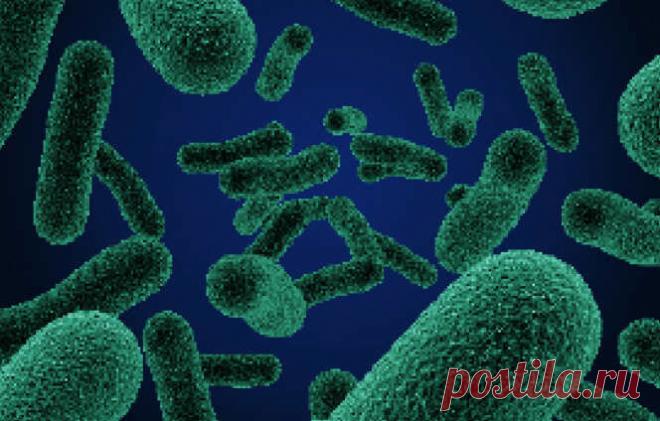 Ботулизм: опасно! Какие у него симптомы?
Заболевания бактериального характера сегодня очень распространены — с ними хоть раз в жизни, но сталкивался каждый живущий на земле. Некоторые из таких болезней даже сами проходят и никакого вреда организму человека не причиняют. Зато другие чреваты, если не летальным исходом, то серьезными проблемами со здоровьем, вплоть до инвалидности. Что такое ботулизм? Одним из таких невероятно […]
Читай дальше на сайте. Жми подробнее ➡