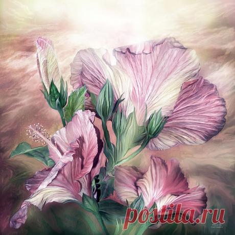 Ирина Сергеева