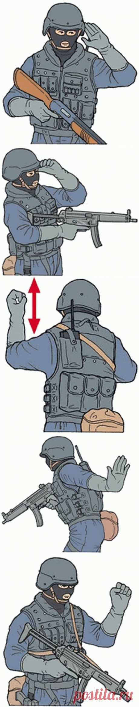Язык жестов спецназа | Сайга 12.ru