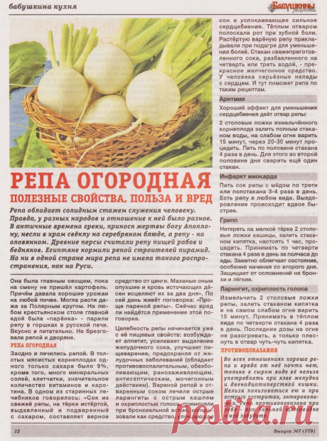 Репа огородная: польза и вред