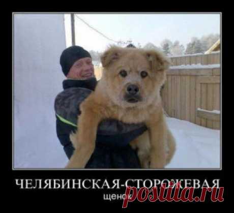 Странный такой городишка… Челябинск