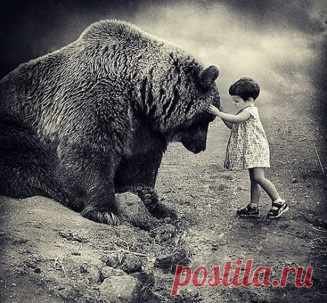 (52) Одноклассники