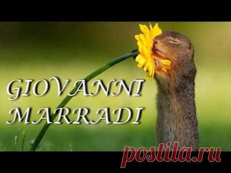 ♫ Giovanni Marradi - Collection ♫ (Beautiful flowers)