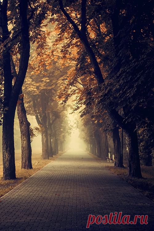 дороги